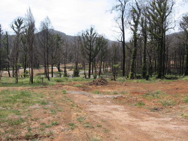 A BLANK CANVAS Picture 2