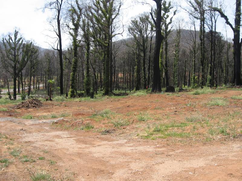 A BLANK CANVAS Picture 1