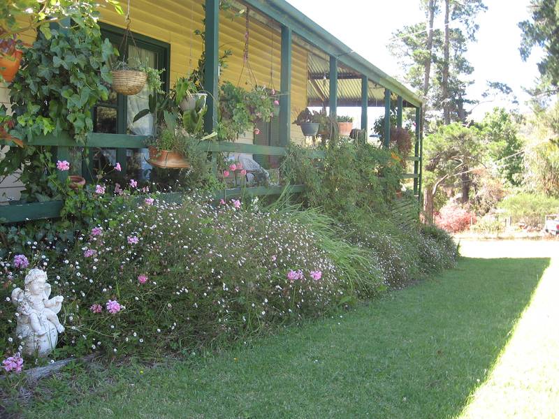 REACH OUT......... Picture 1