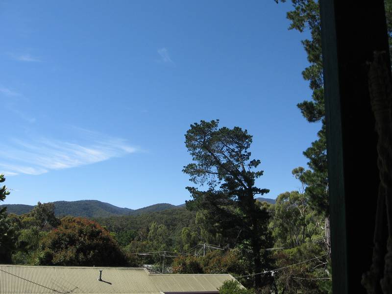 REACH OUT......... Picture 3