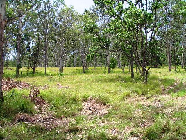 15 ACRES OF BEAUTIFUL RIVER FRONT LAND Picture 3