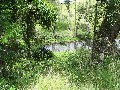 15 ACRES OF BEAUTIFUL RIVER FRONT LAND Picture
