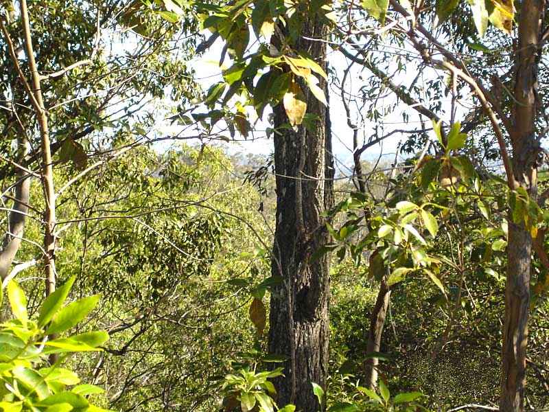 BARGAIN ACREAGE WITH VIEWS! Picture 3