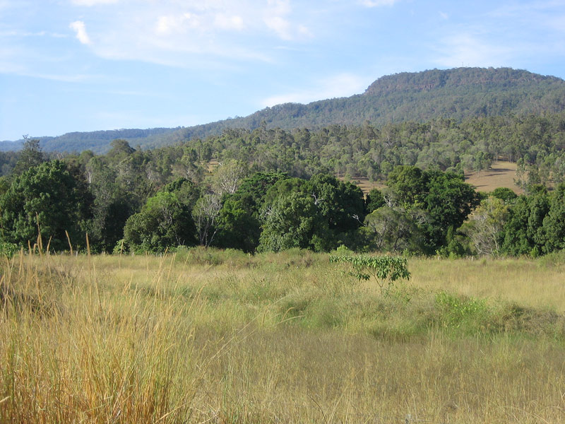 CANUNGRA'S CHEAPEST LAND Picture 3