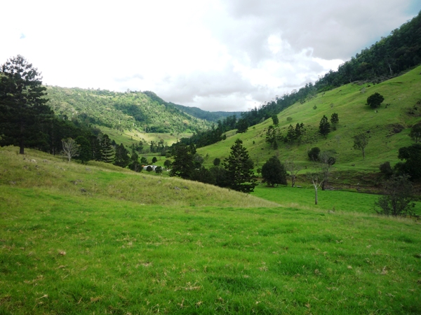 Coomera Valley Hideaway!!! Picture 3