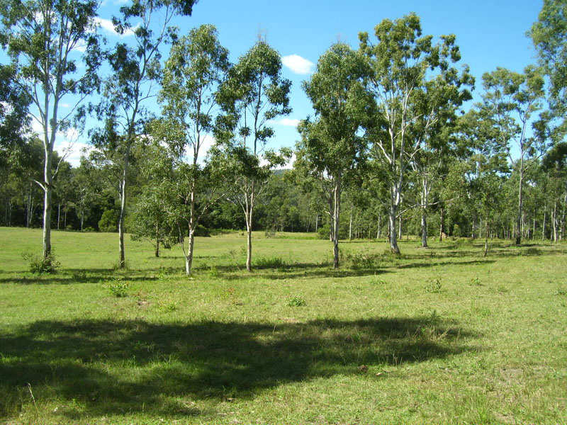CREEKSIDE ACREAGE - BARGAIN! Picture 3