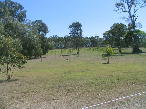 GREAT BUYING OPPORTUNITY, APPOXIMATELY 12 ½ ACRES Picture 3