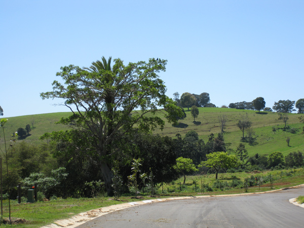 Mountain Escape Picture 3