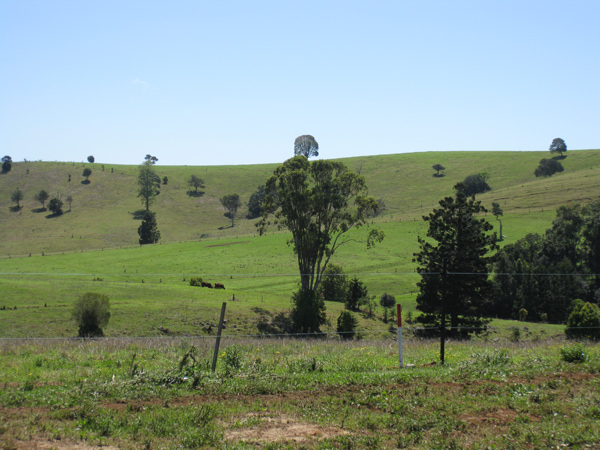 Mountain Escape Picture 1