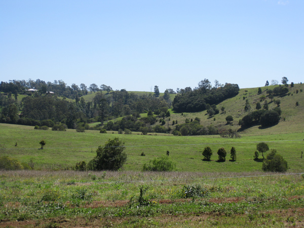 Mountain Escape Picture 2