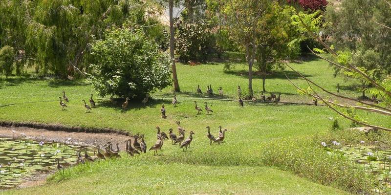 PARADISE FOUND Picture 2