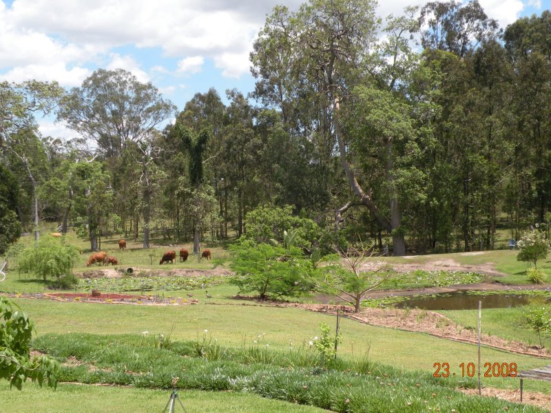 PARADISE FOUND Picture 3