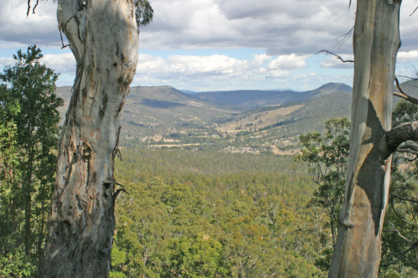 Private Gated Acreage Community Picture 3
