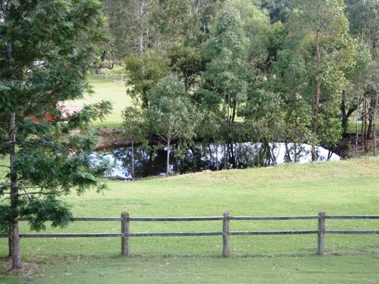 Home amongst the gum trees! Picture 1