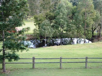 Home amongst the gum trees! Picture