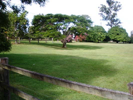 Home amongst the gum trees! Picture 3