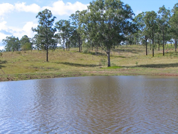 The Jewel in the Crown Picture 3