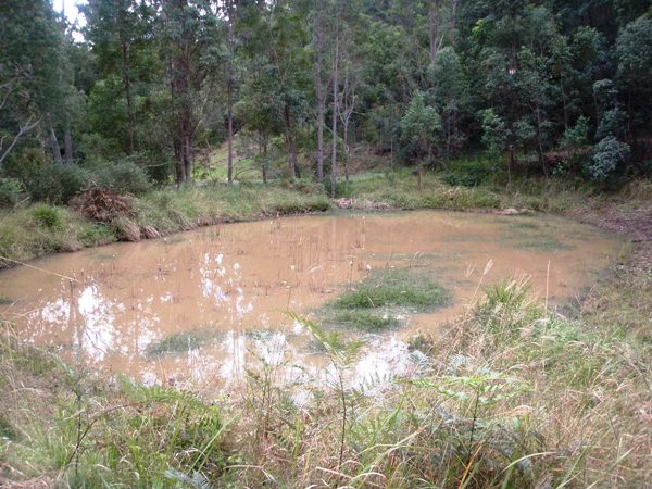 Escape to this tranquil acreage land! Picture 3