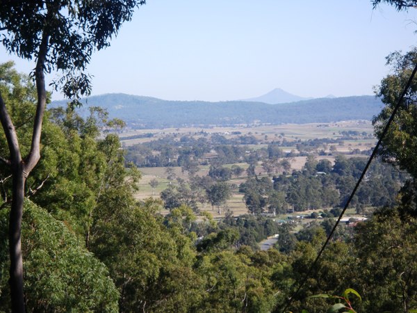 SALE OF THE CENTURY Picture 3