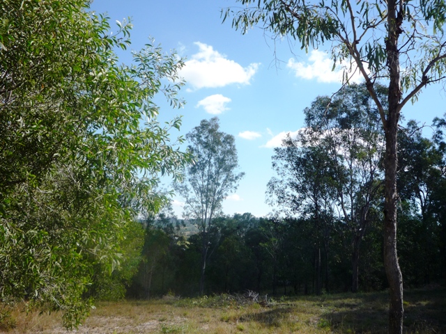 ALL OFFERS CONSIDERED Picture 3