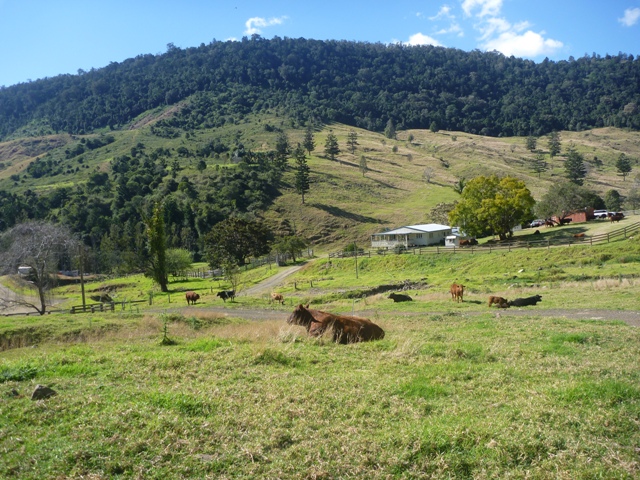 80 acres for only $425,000! Picture 3