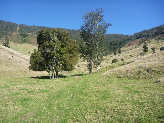 80 acres for only $425,000! Picture 1