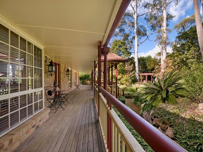 Enjoy the silence of Rainforest Living... Picture