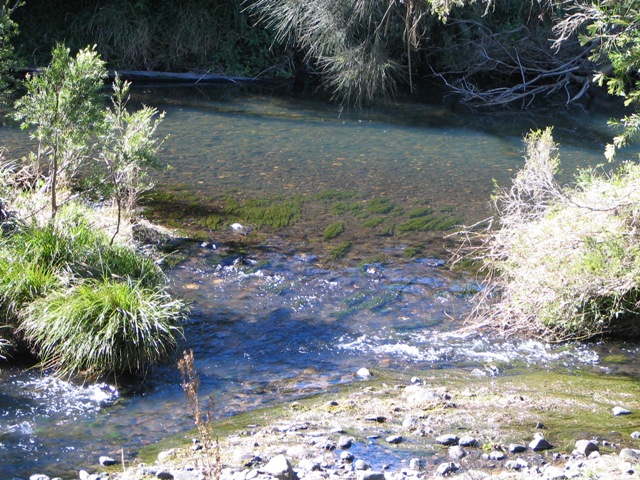 COOMERA RIVER FRONT Picture 3