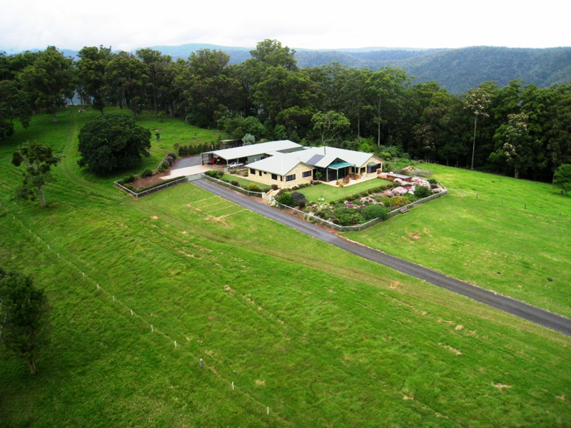 King of the mountain Picture 3