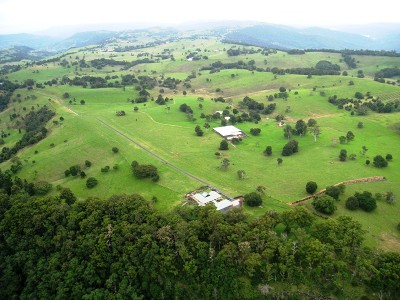 King of the mountain Picture