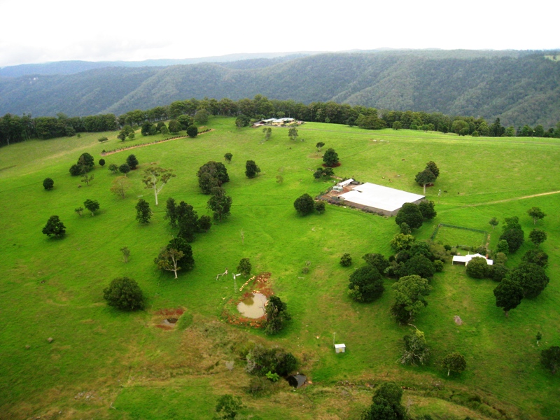 King of the mountain Picture 2