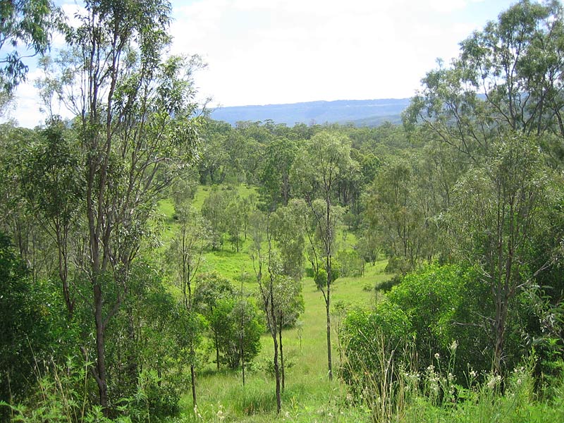 96 LUSH ACRES OF LAND WITH PANORAMIC VIEWS Picture 3