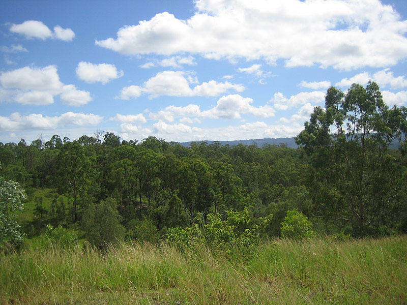 96 LUSH ACRES OF LAND WITH PANORAMIC VIEWS Picture 2