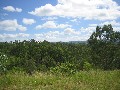 96 LUSH ACRES OF LAND WITH PANORAMIC VIEWS Picture