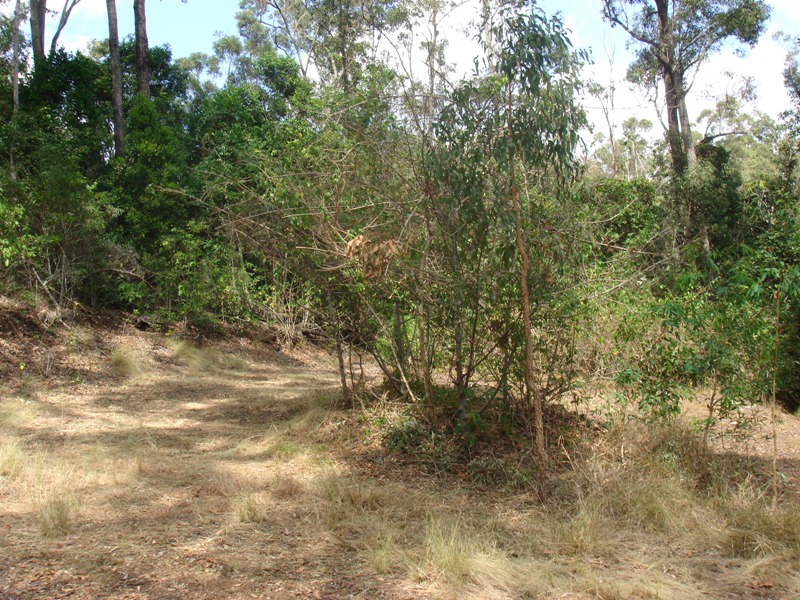 Escape from everything! Picture 3