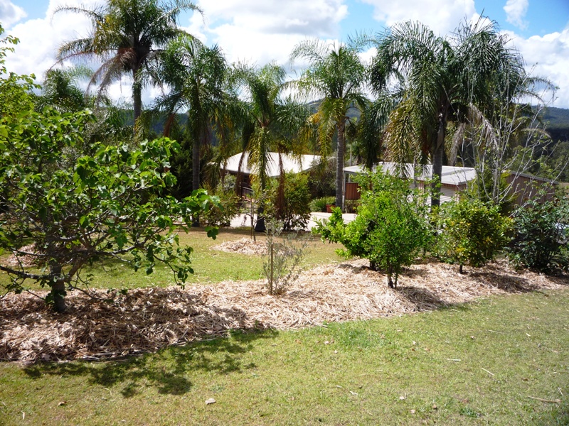 How good is this? Picture 3