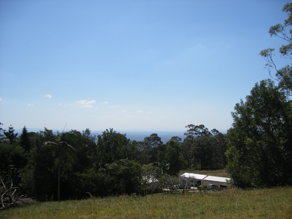 Peace & Tranquility on the Mountain Picture 1