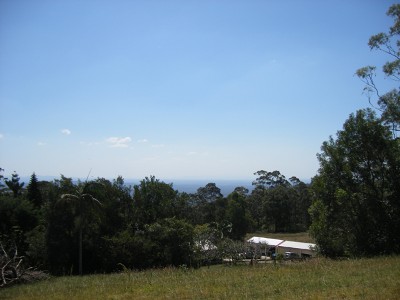 Peace & Tranquility on the Mountain Picture Peace & Tranquility on the Mountain Picture