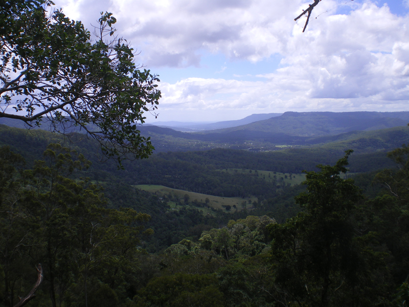 Yurunga Farms - Lifestyle Property Picture 2