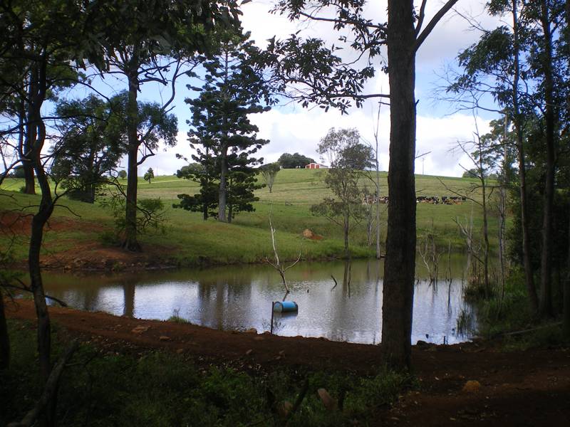 Yurunga Farms - Lifestyle Property Picture 3