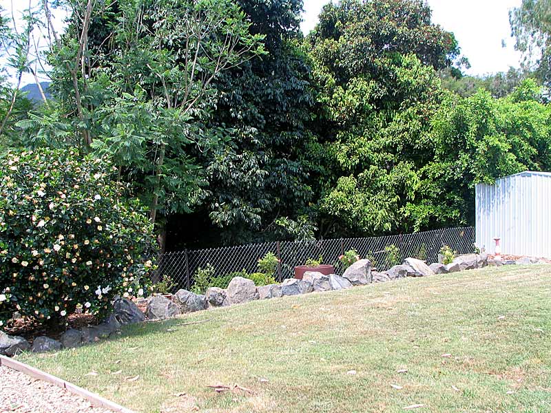 Up the Creek! Picture 3