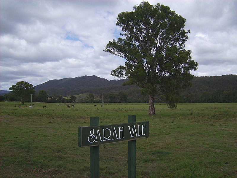 180 acres on two titles - Canungra Creek front Picture 2