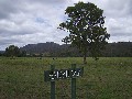 180 acres on two titles - Canungra Creek front Picture