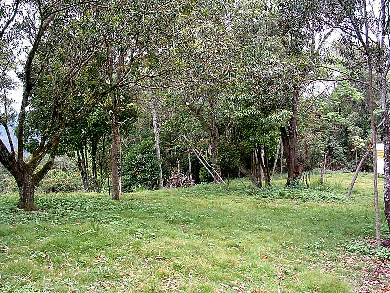 The Great Escape! Picture 1