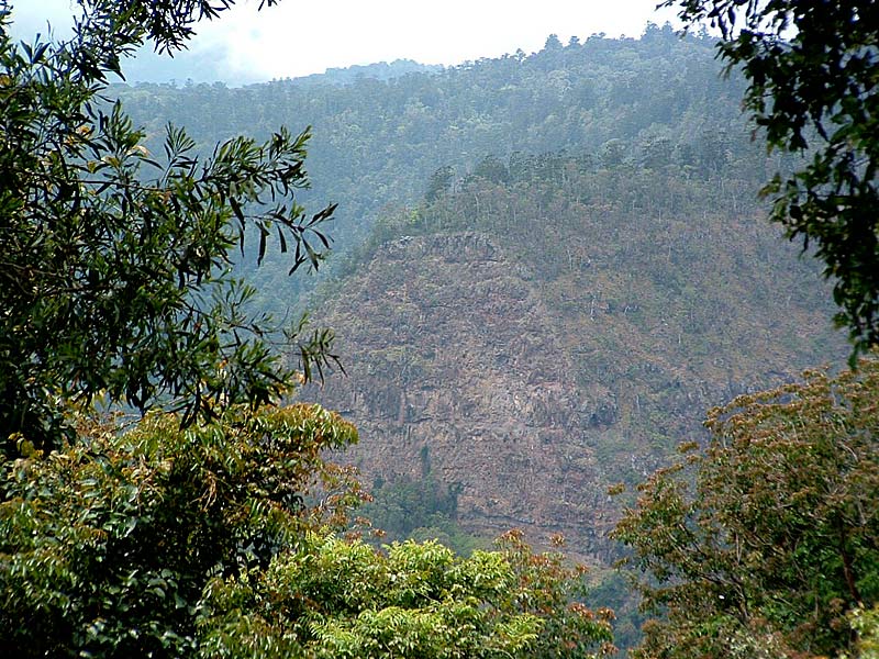 The Great Escape! Picture 3