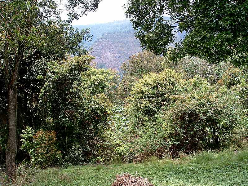 The Great Escape! Picture 2