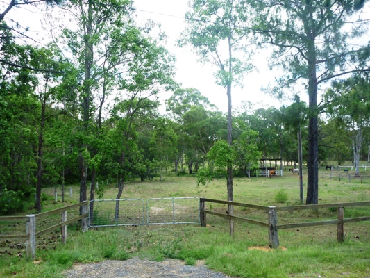 All natural & ready to go! Picture 1