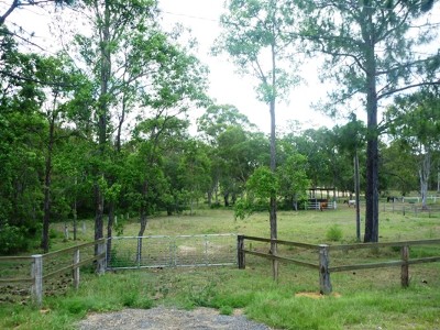 All natural & ready to go! Picture