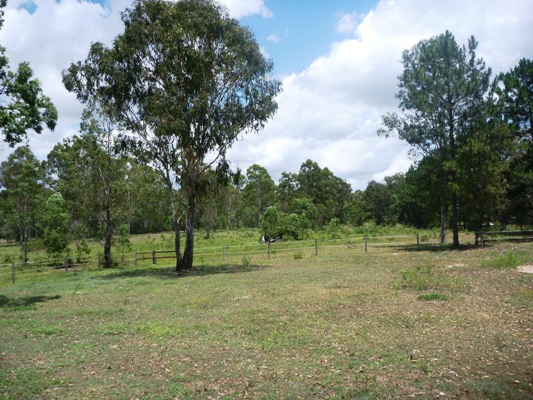 All natural & ready to go! Picture 2