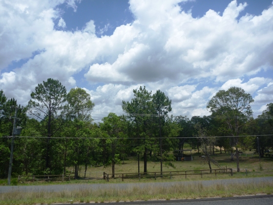 All natural & ready to go! Picture 3